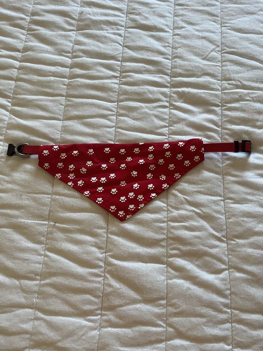 Bandana e coleira para cão ou cadela