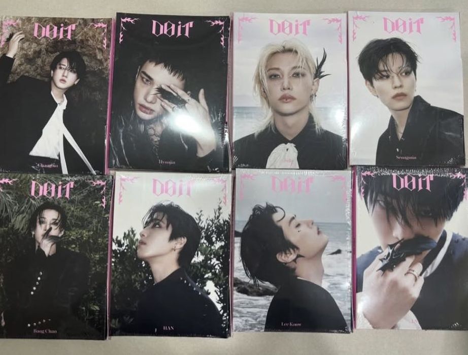 Stray kids Do it accordion ver