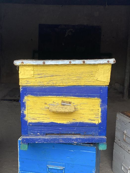 Продам вулики для бджіл.