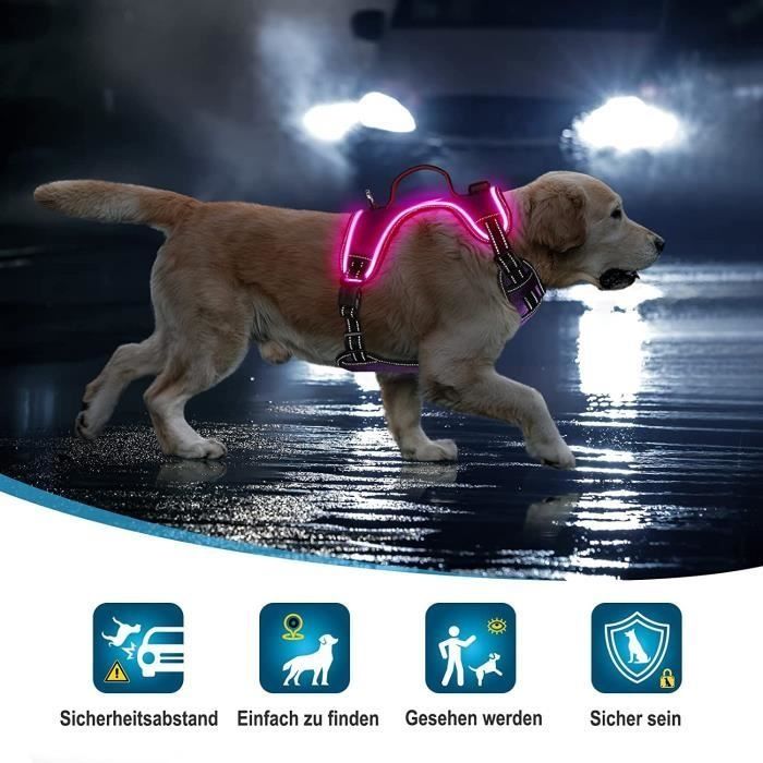 Шлея для собак з світовим ефектом