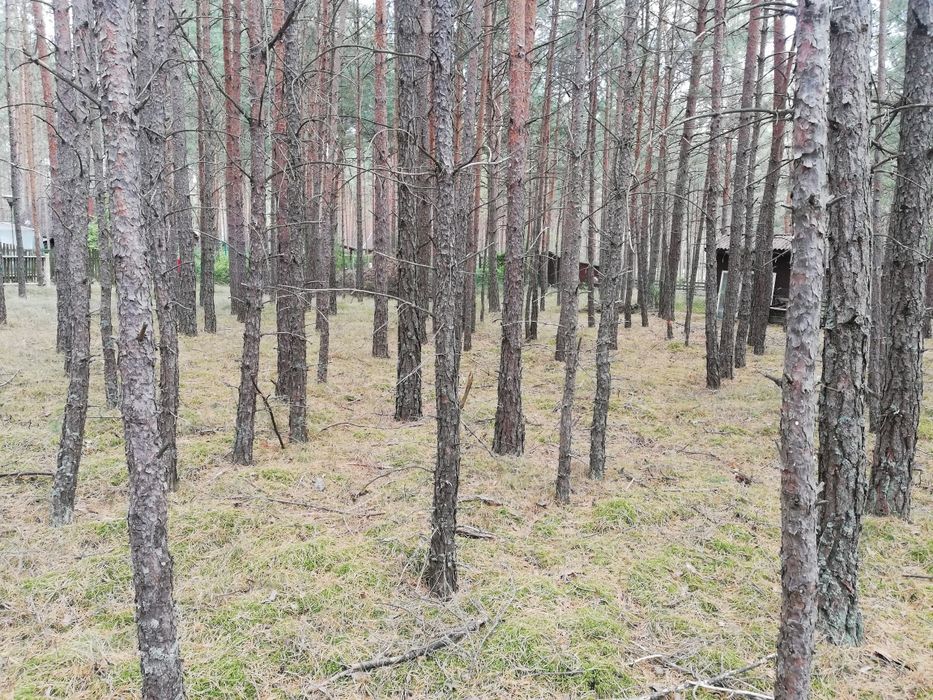Zdjęcie 2