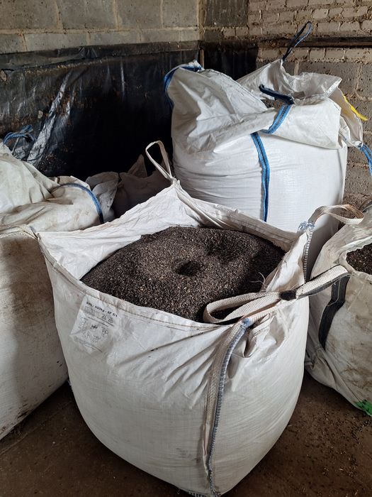 Słonecznik na opał (nie owies pelet)