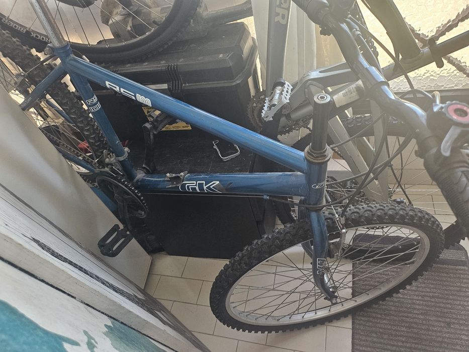 Bicicleta  adulto Gk