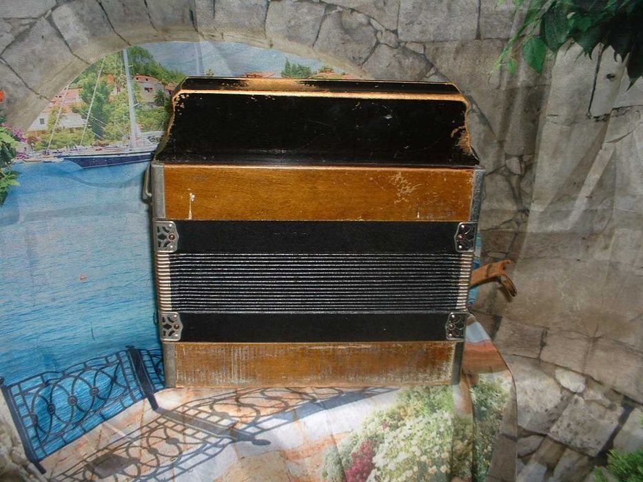 Concertina para venda N, 887