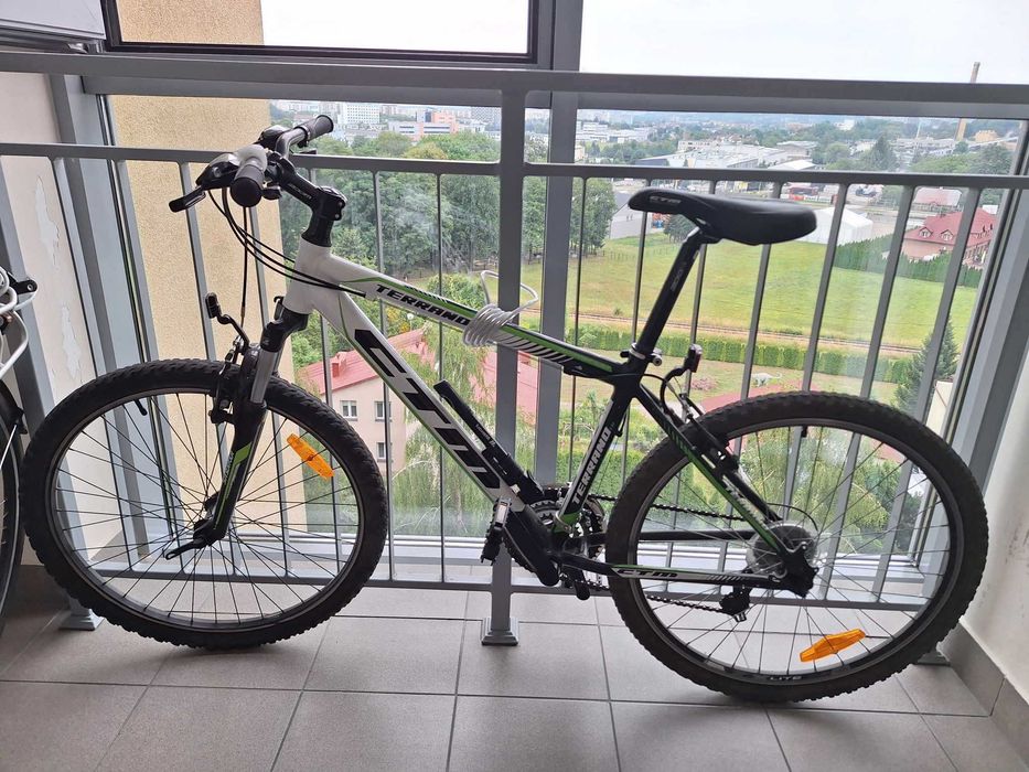 Rower ctm terrano