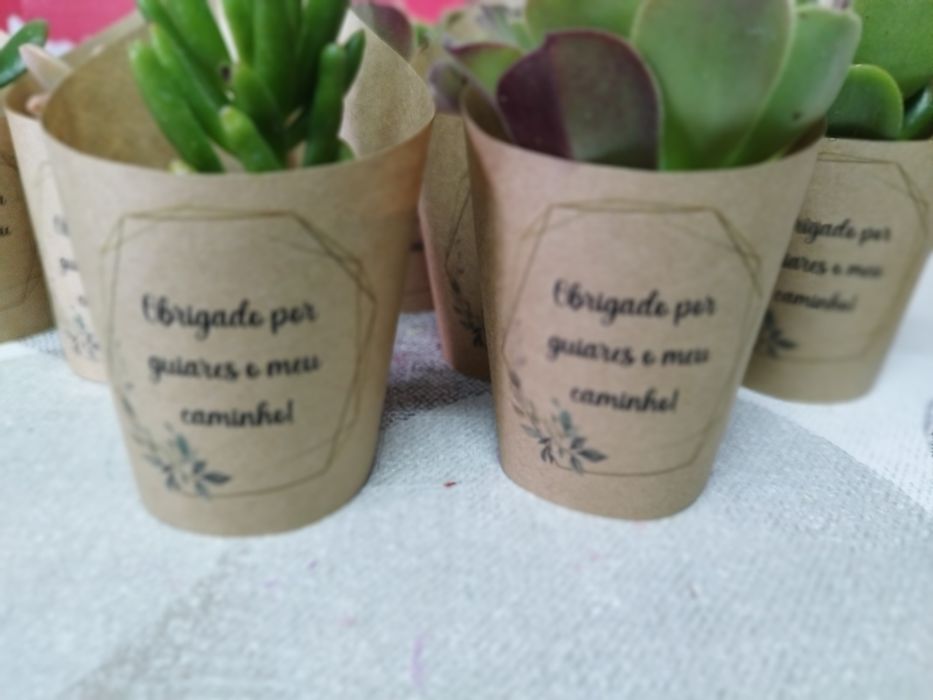 Suculentas personalizadas