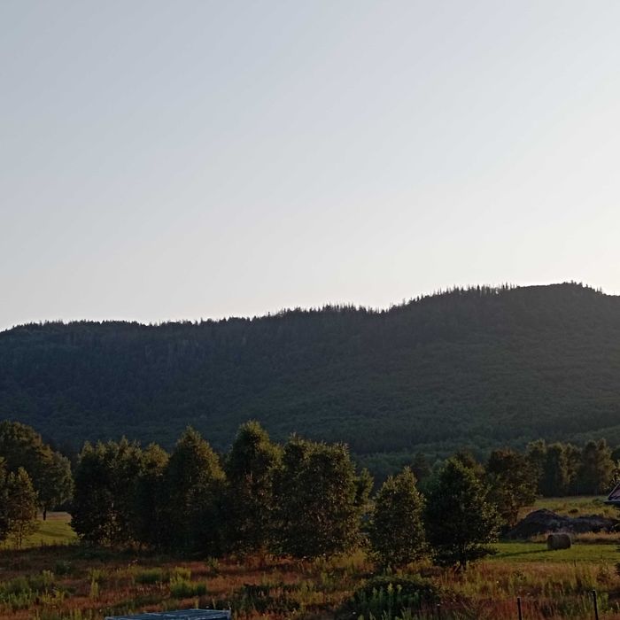 Domek całoroczny do wynajęcia.