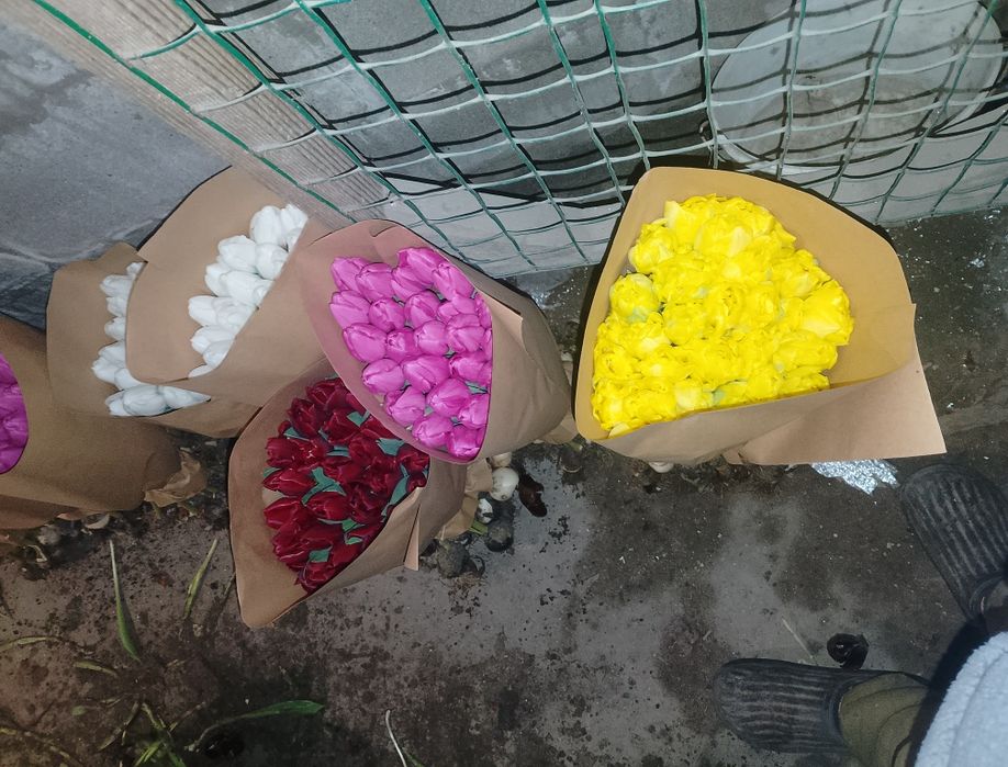 Продам тюльпани оптом  на 14 лютого та 8 березня