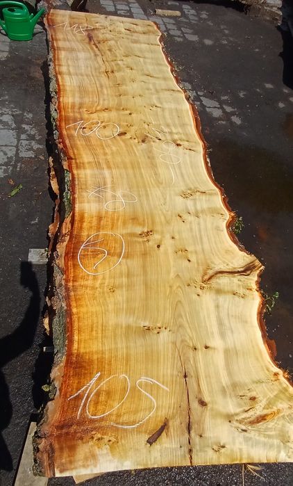 Foszty topola Długość 390 cm na stół monolit
