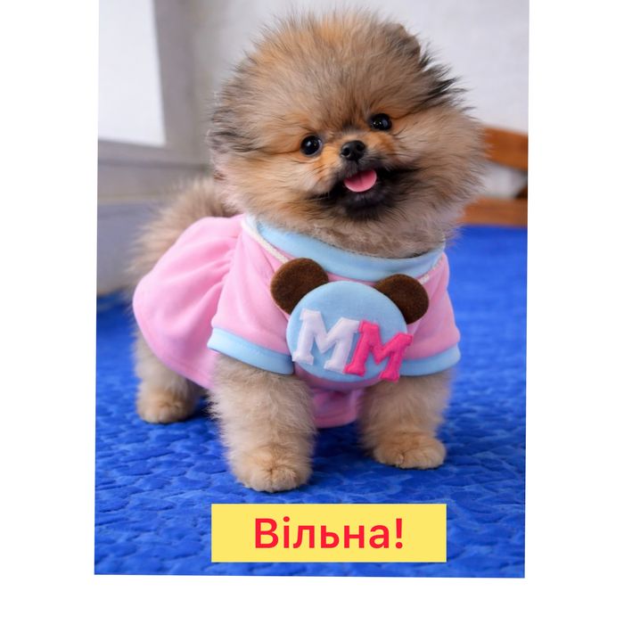 #Baby Face Найлагідніше маля !Красуня міні