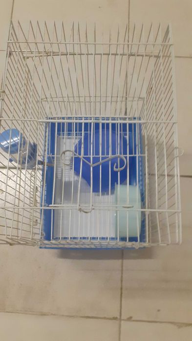 Gaiola para hamester