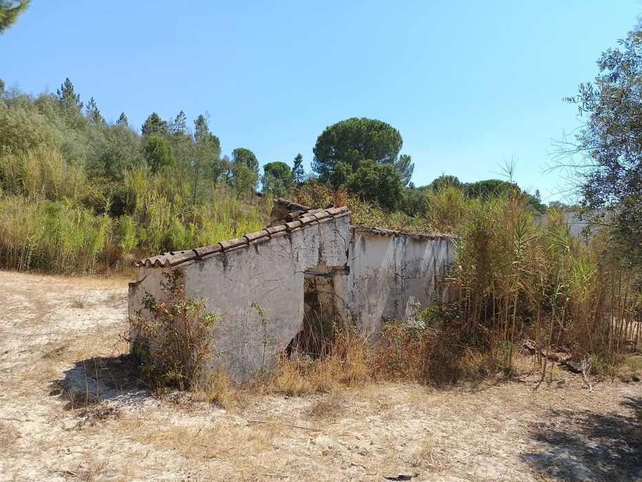 Terreno Urbanizável Ponte de Sor