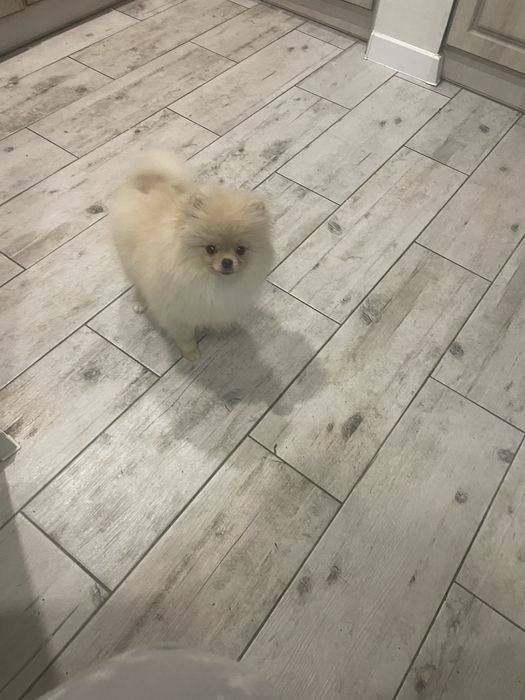 Чудова  міні дівчинка помка