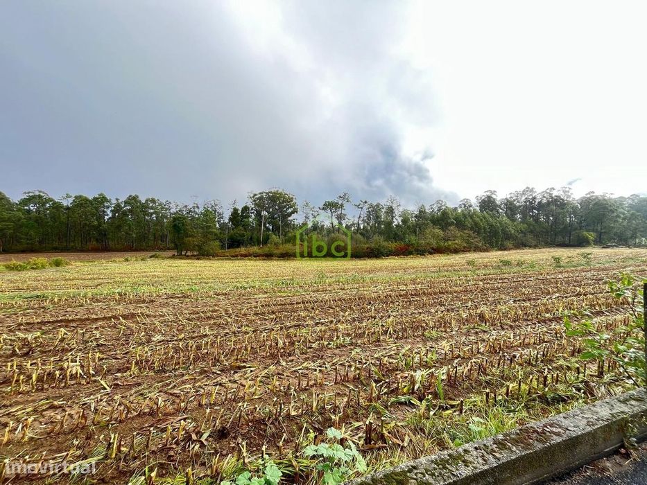 Terreno | Póvoa de Varzim