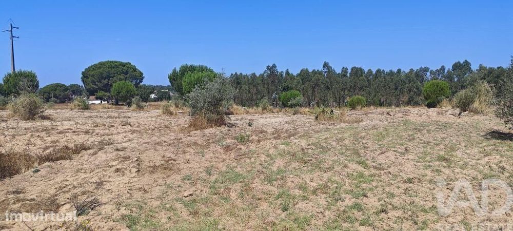 Terreno para construção em Branca de 7020,00 m2