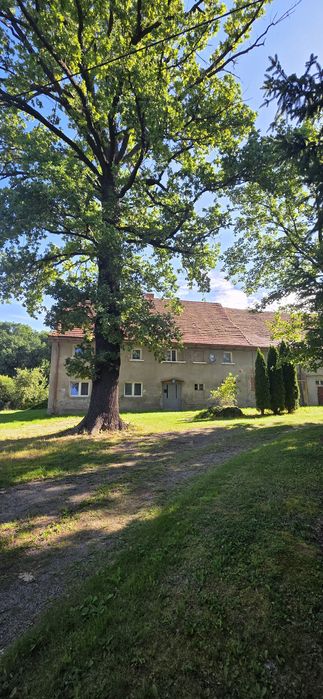 Bez pośredników!! Wydzielona 1/2 domu z budynkiem gospodarczym 199m² i działkami – Chwaliszów