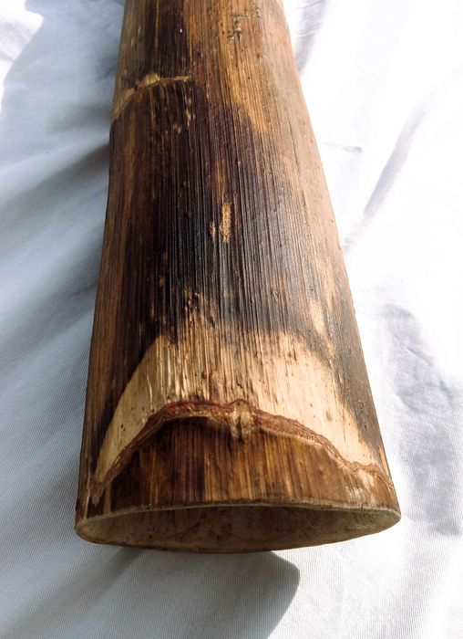 Didgeridoo inspirador á sua espera.