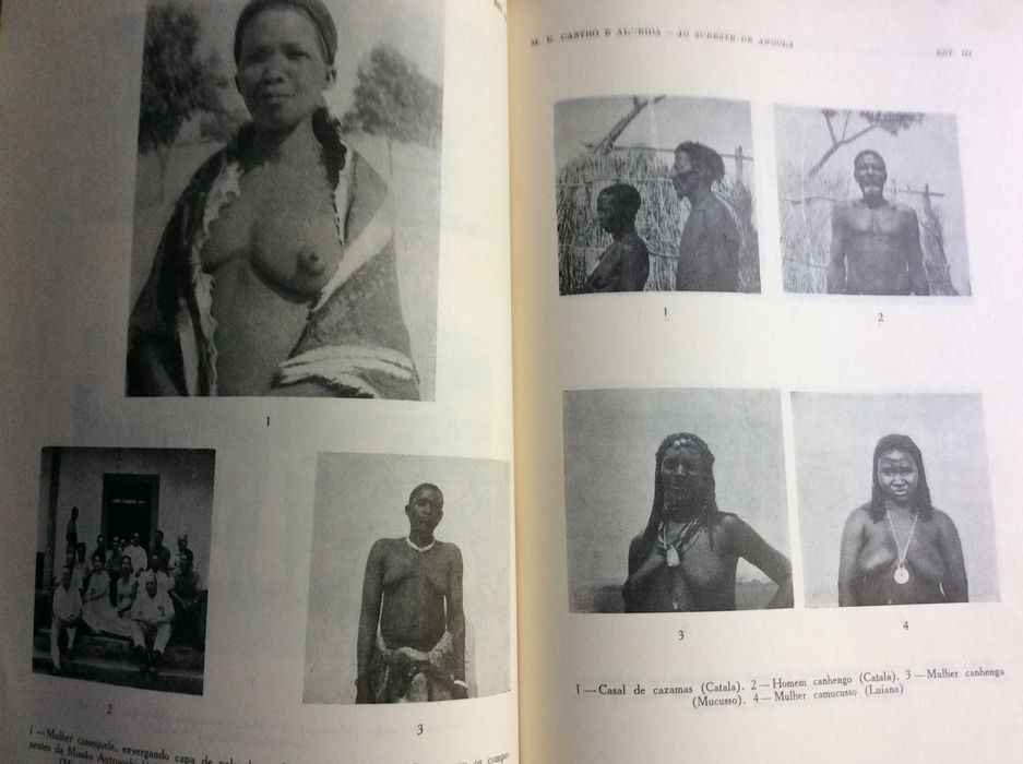 Boletim da Sociedade de Geografia de Lisboa. - 1954. Ver sumário