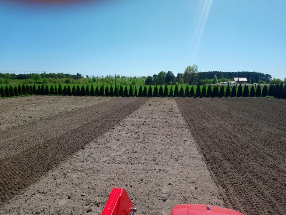 Glebogryzarka separacyjna Usługi