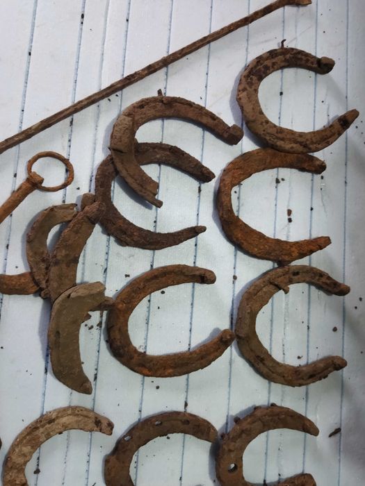 Набійки знахідки для копит тварин