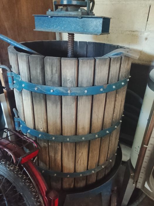 Conjunto para vindimas