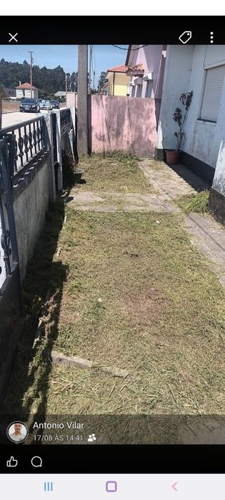 Serviços de jardinagem