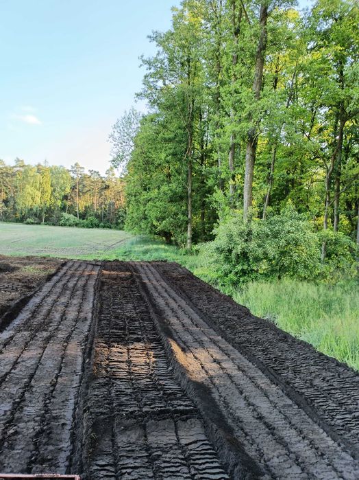 Mulczer wgłębny, Wycinka drzew, Karczowanie, Rekultywacja, Czyszczenie