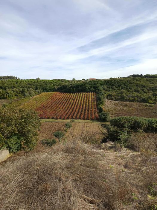 Oportunidade terreno