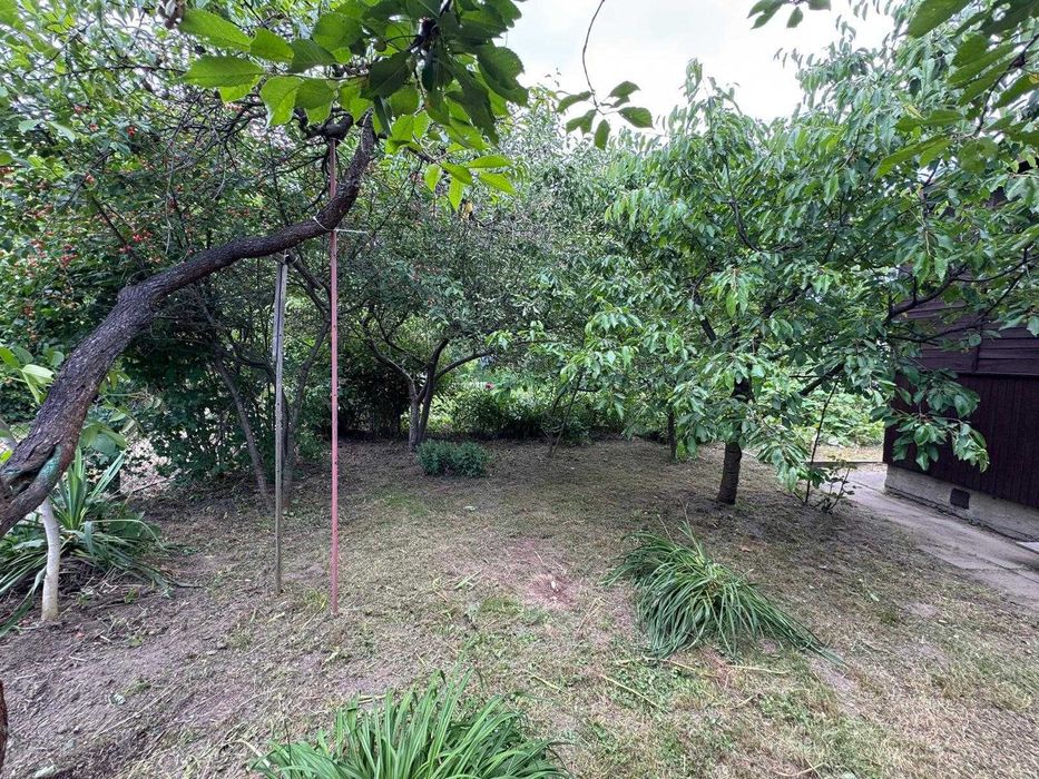 Na sprzedaż prawo do dzierżawy działki ROD o powierzchni ok. 300 m² z domkiem–„Mały Ogród” przy ul. Łuczniczej 23 w Warszawie-Wilanów, za siedzibą TVN - Widok 5