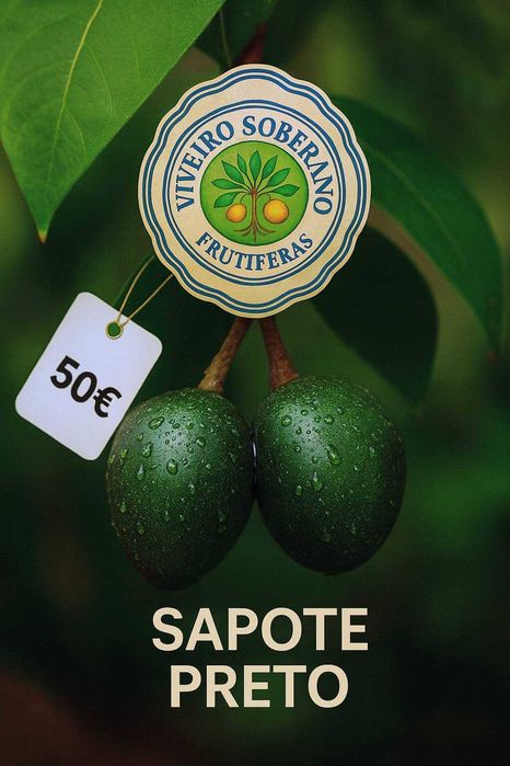 Árvores de Fruto