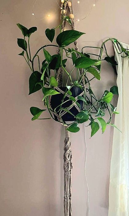 Cache-Pot: doniczka z makramy do kwiatów