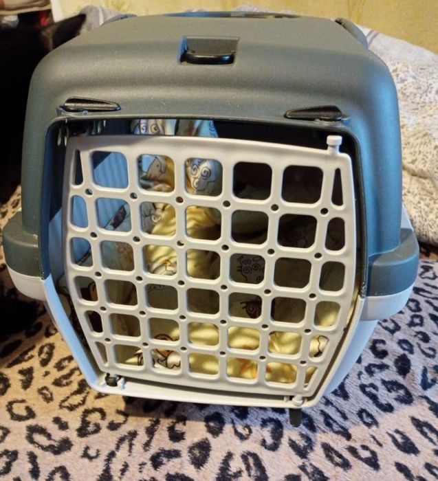 АРЕНДА переноска для животных