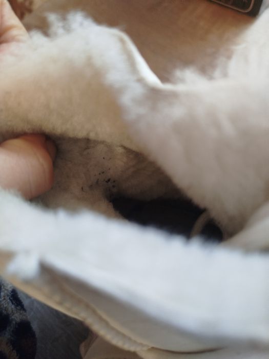 Неймовірні угг зимові фірма Vitto Rossi