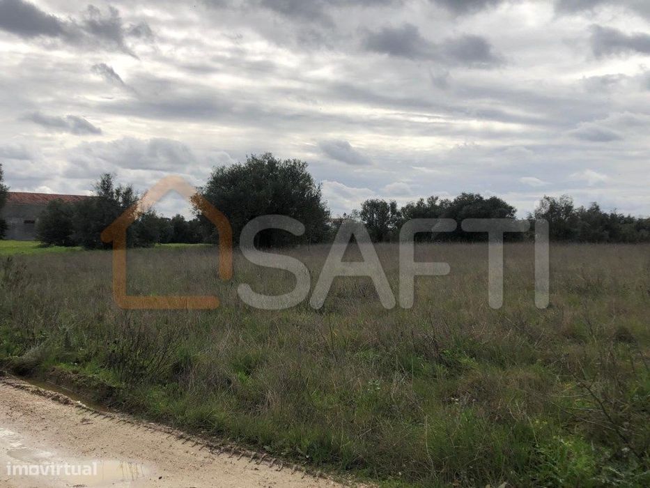 Terreno com 12.280 m2 em Chão do Clero, Gouxaria, Alcanena — Alcanena E Vila Moreira, Santarém