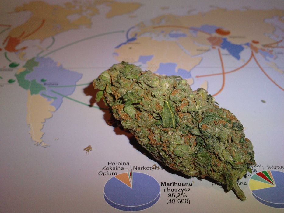 Marihuana CBC Lilac Diesel 1g + Sourdough Kush 1g + Kraken 1g = 3g CBN