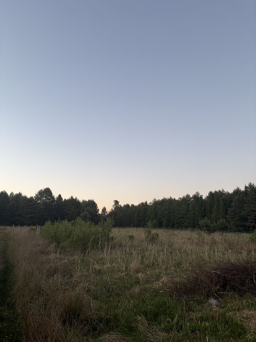 Działka otoczona lasem