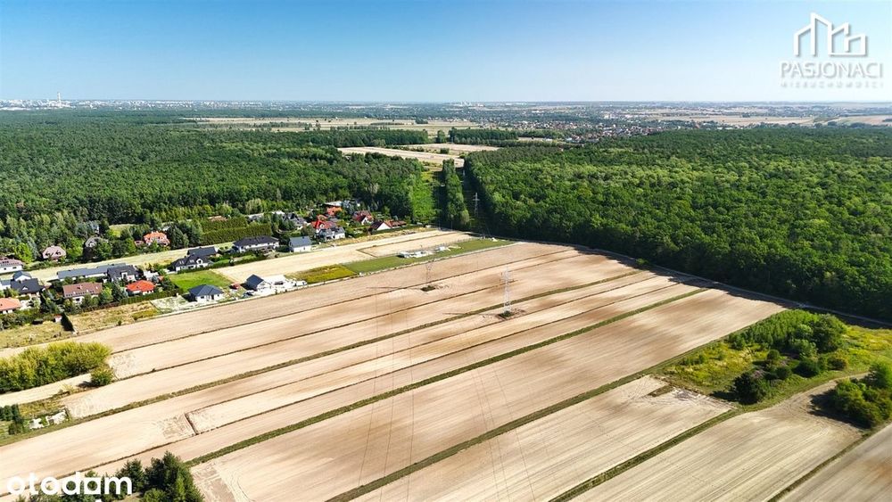 Działka rolna Prawiedniki-Kolonia - 4400 m² - Widok 5