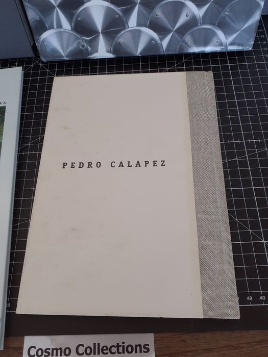 Almada Negreiros, Joana Vasconcelos  Pedro Calapez, Aurelia de Souza