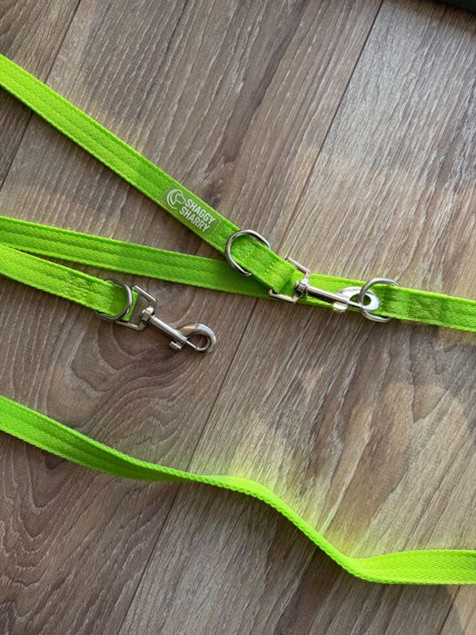 Ошийник та бандана для невеликої собаки shaggy sharry