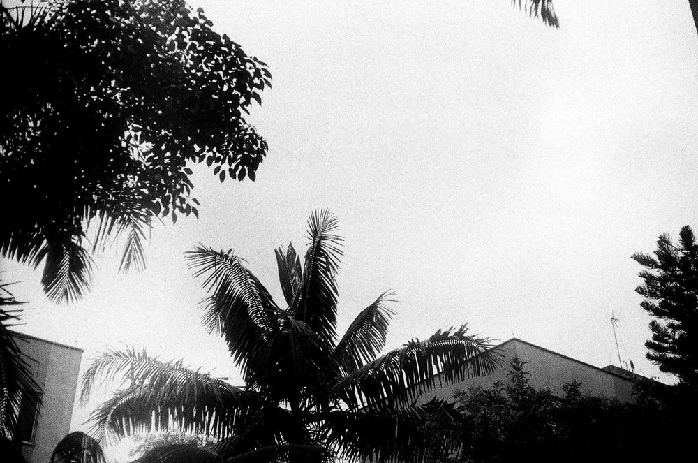 Пленочный фотоаппарат Yashica ELECTRO 35 / GS / GSN / GT / GTN f/1.7