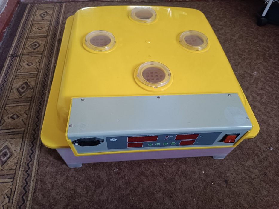 Інкубатор для яєць