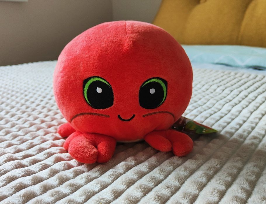 Raczek Romek. Biedronka.