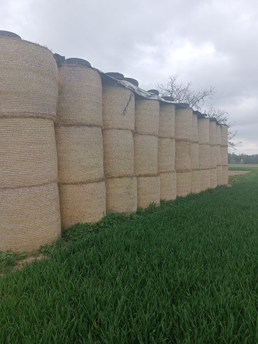 Sprzedam słomę Po McHale