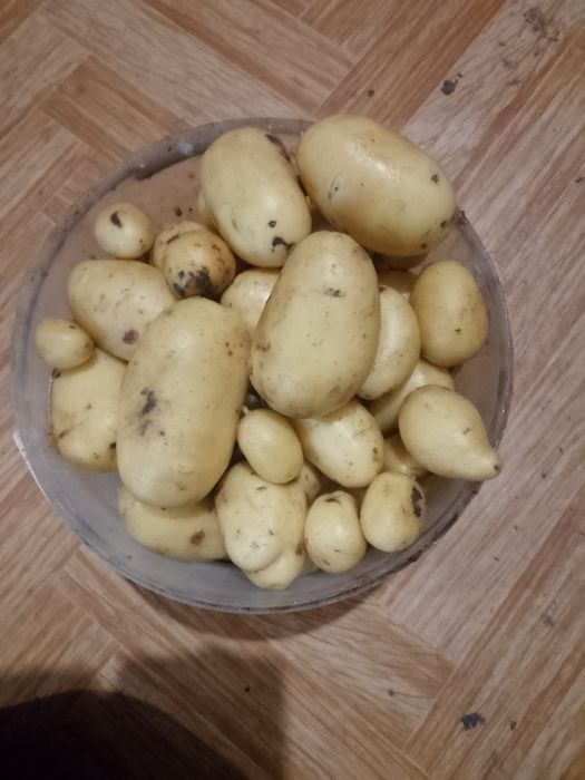 Земельний участок