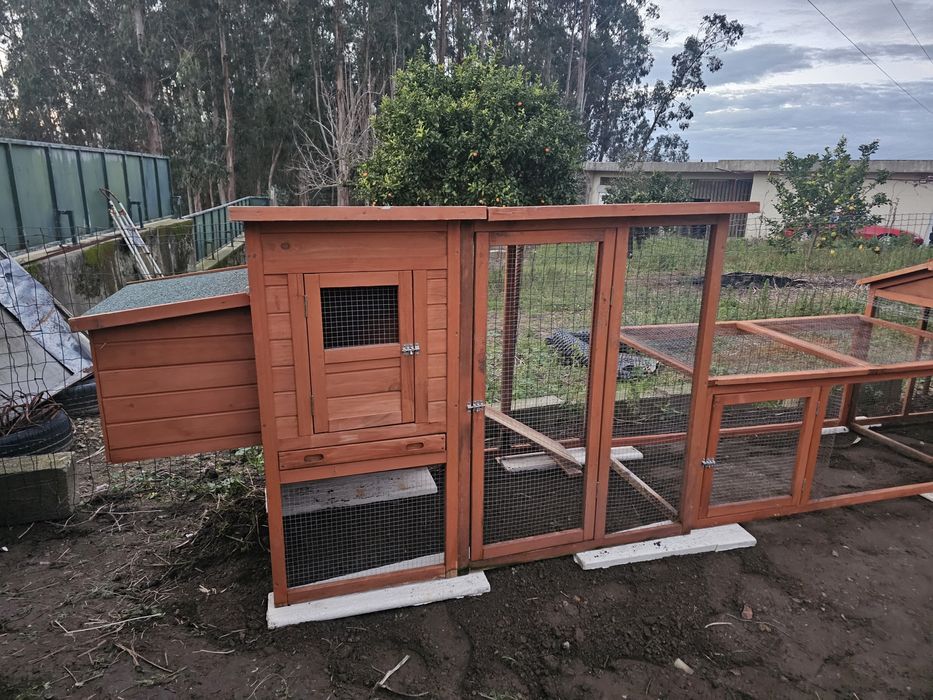 Galinheiro como Novo