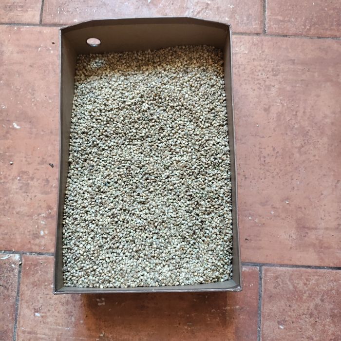 Терміново Крупа конопляна.для рибалки