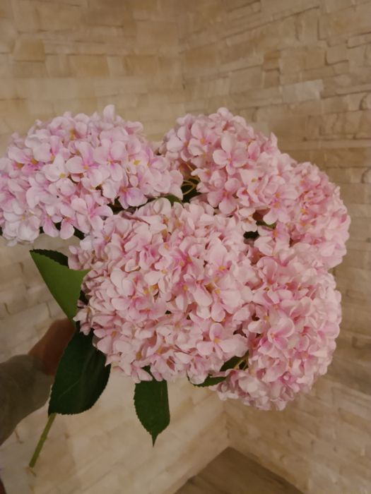 Pastelowy róż delikatne 5 szt hortensja