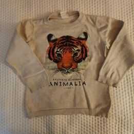 zestaw ubrań 110-116 i butów dla chłopca