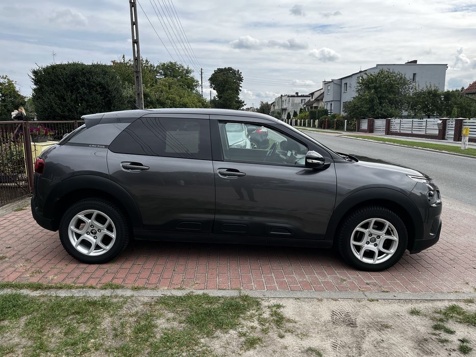 Citronen C4 cactus