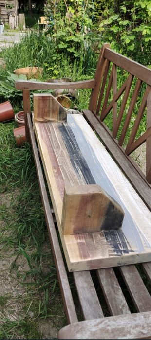 Poolka debowa barwiona